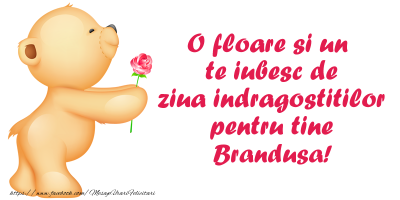 Felicitari Ziua indragostitilor - O floare si un te iubesc de ziua indragostitilor pentru tine Brandusa!