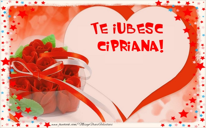 Felicitari Ziua indragostitilor - Te iubesc  Cipriana