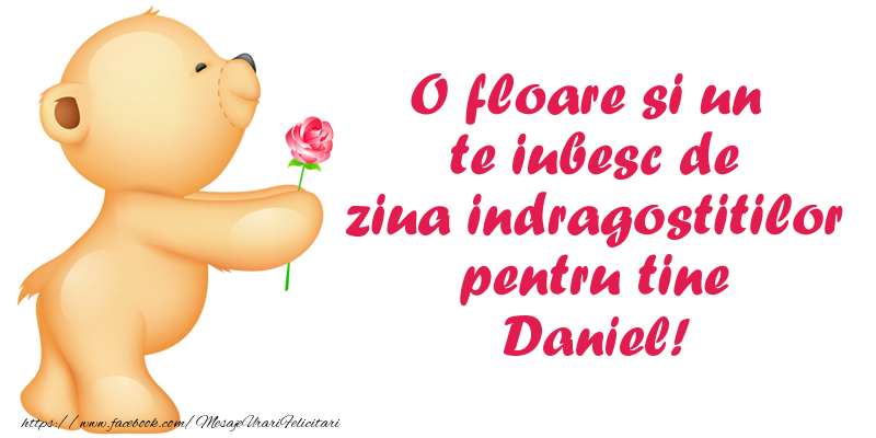 Felicitari Ziua indragostitilor - Ursuleti | O floare si un te iubesc de ziua indragostitilor pentru tine Daniel!