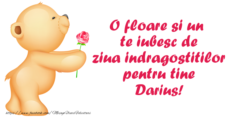 Felicitari Ziua indragostitilor - Ursuleti | O floare si un te iubesc de ziua indragostitilor pentru tine Darius!