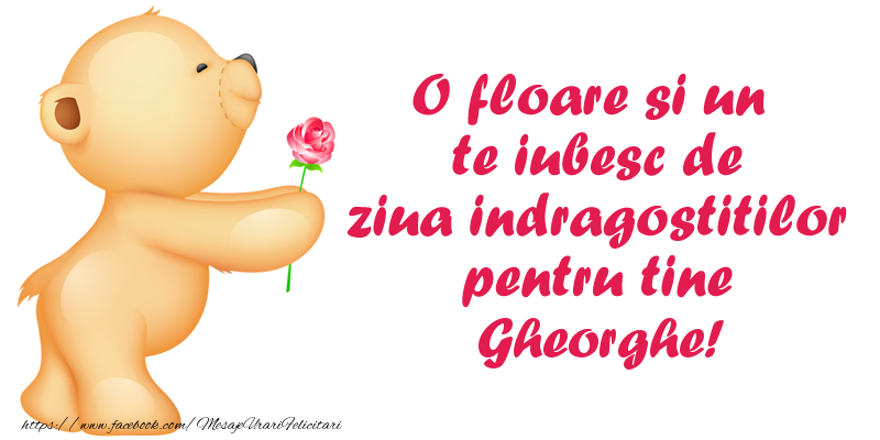 Felicitari Ziua indragostitilor - Ursuleti | O floare si un te iubesc de ziua indragostitilor pentru tine Gheorghe!
