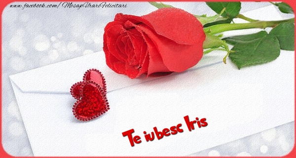 Felicitari Ziua indragostitilor - Trandafiri | Te iubesc  Iris