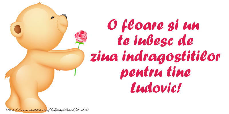 Felicitari Ziua indragostitilor - Ursuleti | O floare si un te iubesc de ziua indragostitilor pentru tine Ludovic!