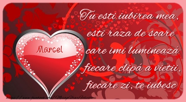 Felicitari Ziua indragostitilor - Marcel Tu esti iubirea mea, esti raza de soare care îmi lumineazá fiecare clipá a vietii, fiecare zi, te iubesc.