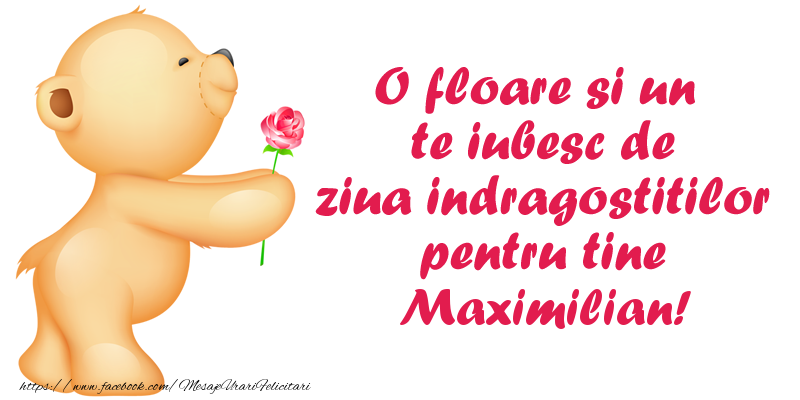 Felicitari Ziua indragostitilor - O floare si un te iubesc de ziua indragostitilor pentru tine Maximilian!