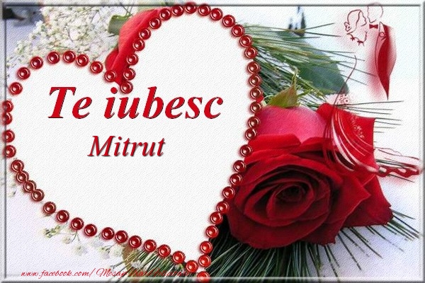 Felicitari Ziua indragostitilor - Te iubesc  Mitrut