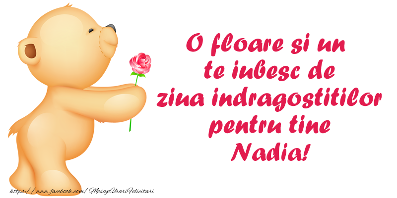 Felicitari Ziua indragostitilor - Ursuleti | O floare si un te iubesc de ziua indragostitilor pentru tine Nadia!