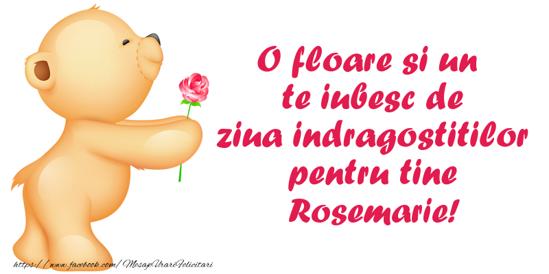 Felicitari Ziua indragostitilor - Ursuleti | O floare si un te iubesc de ziua indragostitilor pentru tine Rosemarie!