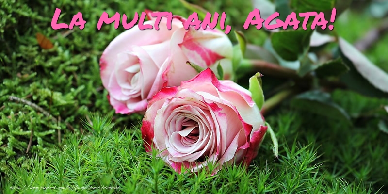 Felicitari de Ziua Numelui - Flori & Trandafiri | La multi ani, Agata!