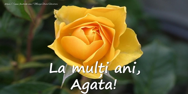Felicitari de Ziua Numelui - Flori & Trandafiri | La mulți ani, Agata!