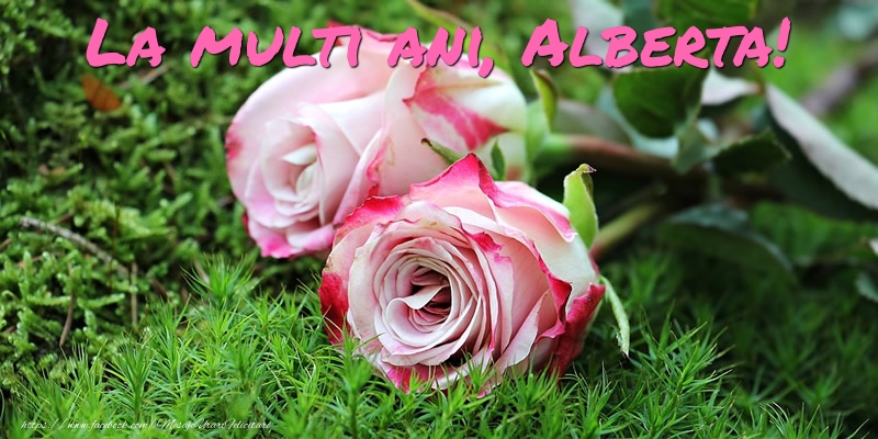 Felicitari de Ziua Numelui - Flori & Trandafiri | La multi ani, Alberta!