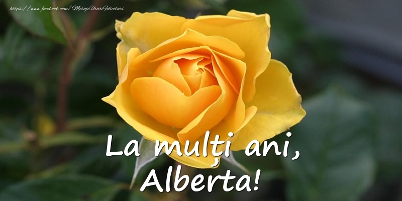 Felicitari de Ziua Numelui - Flori & Trandafiri | La mulți ani, Alberta!