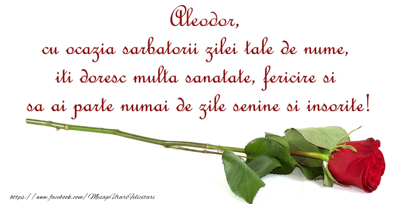 Felicitari de Ziua Numelui - Flori & Trandafiri | Aleodor, cu ocazia sarbatorii zilei tale de nume, iti doresc multa sanatate, fericire si sa ai parte numai de zile senine si insorite!