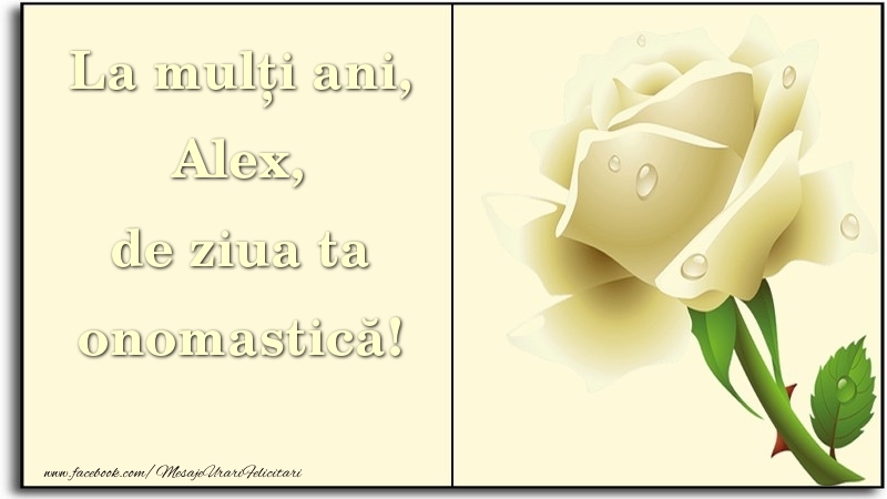 Felicitari de Ziua Numelui - La mulți ani, de ziua ta onomastică! Alex