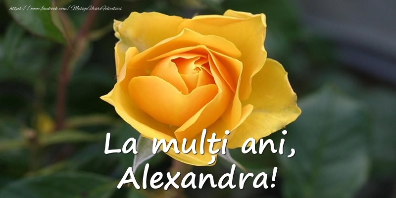 Felicitari de Ziua Numelui - Flori & Trandafiri | La mulți ani, Alexandra!