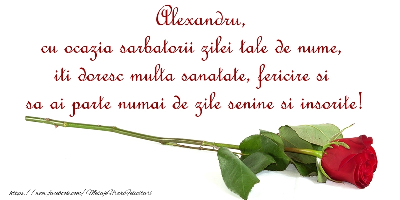 Felicitari de Ziua Numelui - Alexandru, cu ocazia sarbatorii zilei tale de nume, iti doresc multa sanatate, fericire si sa ai parte numai de zile senine si insorite!