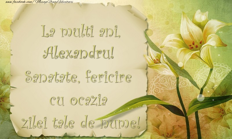 Felicitari de Ziua Numelui - Flori | La multi ani, Alexandru. Sanatate, fericire cu ocazia zilei tale de nume!
