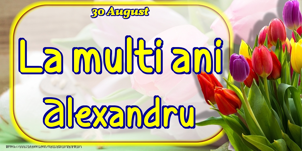 Felicitari de Ziua Numelui - Lalele | 30 August -La  mulți ani Alexandru!
