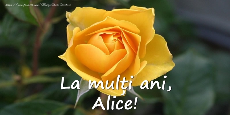 Felicitari de Ziua Numelui - Flori & Trandafiri | La mulți ani, Alice!