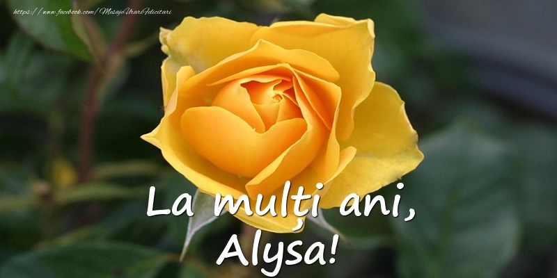 Felicitari de Ziua Numelui - Flori & Trandafiri | La mulți ani, Alysa!
