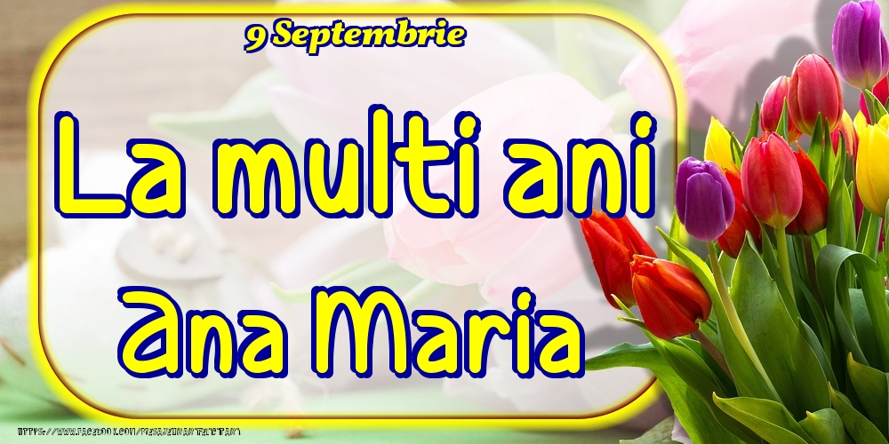  Felicitari de Ziua Numelui - Lalele | 9 Septembrie -La  mulți ani Ana Maria!