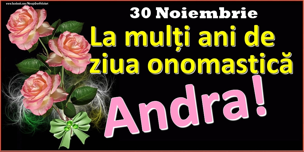 Felicitari de Ziua Numelui - La mulți ani de ziua onomastică Andra! - 30 Noiembrie