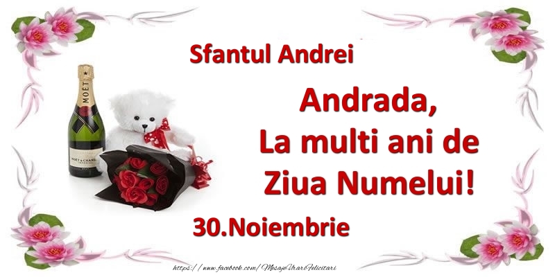 Felicitari de Ziua Numelui - Flori & Sampanie & Ursuleti | Andrada, la multi ani de ziua numelui! 30.Noiembrie Sfantul Andrei