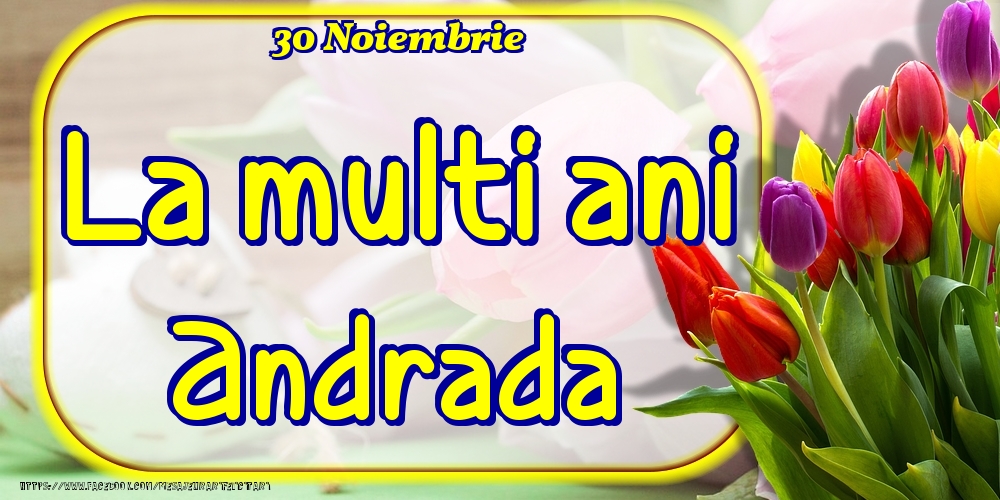  Felicitari de Ziua Numelui - Lalele | 30 Noiembrie -La  mulți ani Andrada!