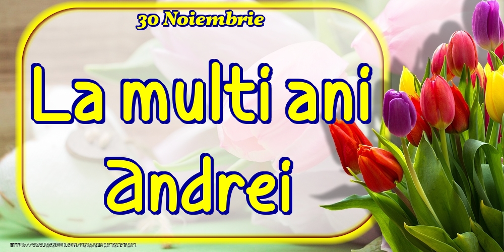 Felicitari de Ziua Numelui - Lalele | 30 Noiembrie -La  mulți ani Andrei!
