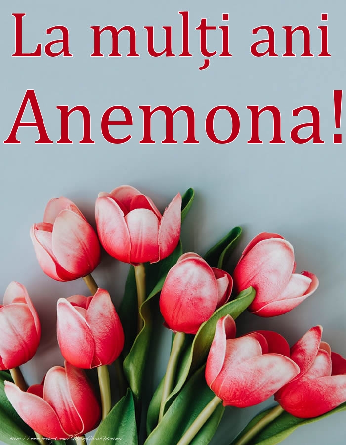 Felicitari de Ziua Numelui - La mulți ani, Anemona!