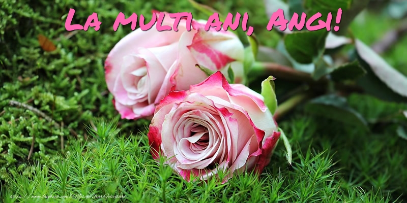 Felicitari de Ziua Numelui - Flori & Trandafiri | La multi ani, Angi!