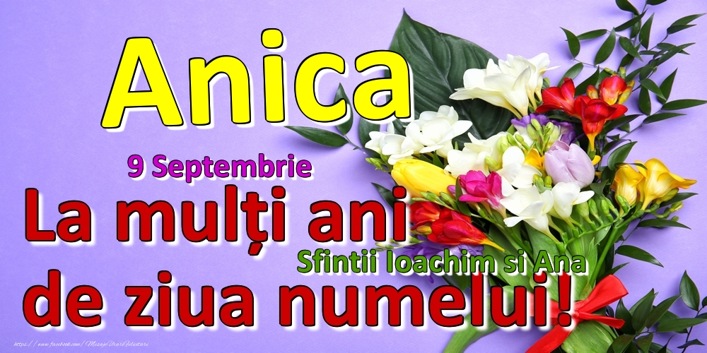Felicitari de Ziua Numelui - 9 Septembrie - Sfintii Ioachim si Ana -  La mulți ani de ziua numelui Anica!