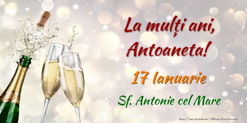 Felicitari de Ziua Numelui - Sampanie | La multi ani, Antoaneta! 17 Ianuarie Sf. Antonie cel Mare
