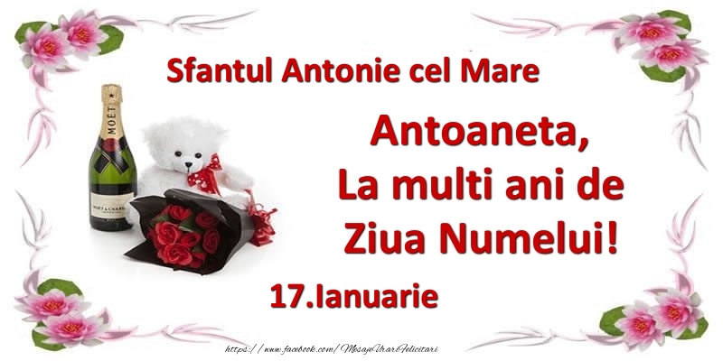 Felicitari de Ziua Numelui - Flori & Sampanie & Ursuleti | Antoaneta, la multi ani de ziua numelui! 17.Ianuarie Sfantul Antonie cel Mare