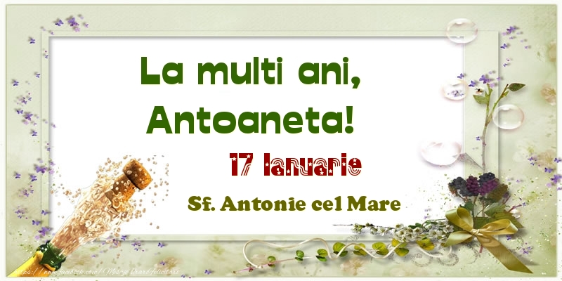 Felicitari de Ziua Numelui - Sampanie | La multi ani, Antoaneta! 17 Ianuarie Sf. Antonie cel Mare
