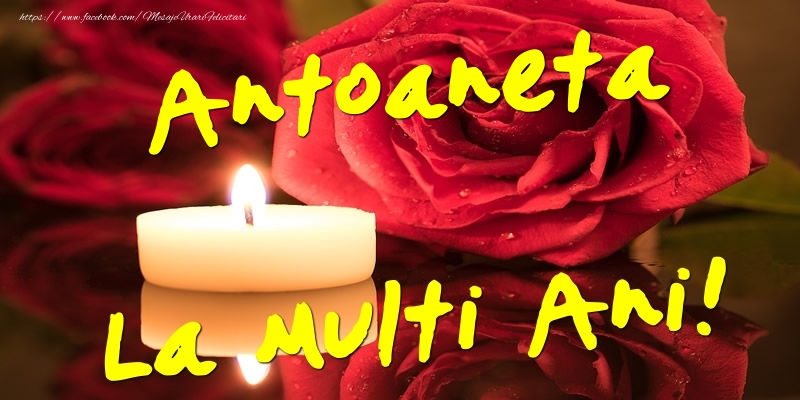 Felicitari de Ziua Numelui - Flori & Trandafiri | Antoaneta La Multi Ani!