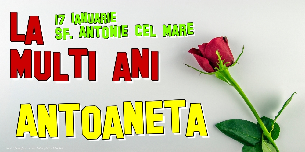 Felicitari de Ziua Numelui - Trandafiri | 17 Ianuarie - Sf. Antonie cel Mare -  La mulți ani Antoaneta!