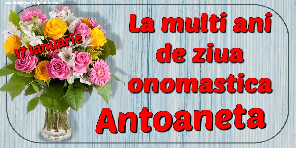 Felicitari de Ziua Numelui - 17 Ianuarie - La mulți ani de ziua onomastică Antoaneta