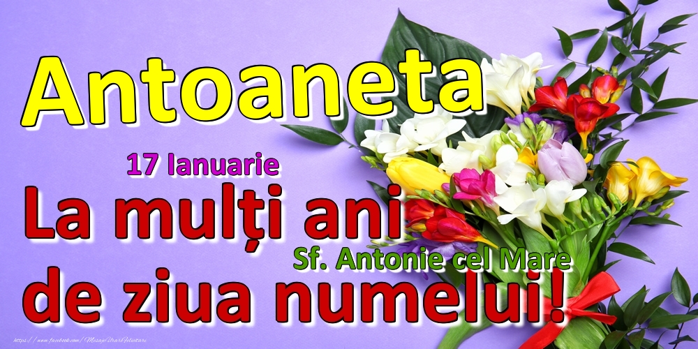 Felicitari de Ziua Numelui - Flori | 17 Ianuarie - Sf. Antonie cel Mare -  La mulți ani de ziua numelui Antoaneta!