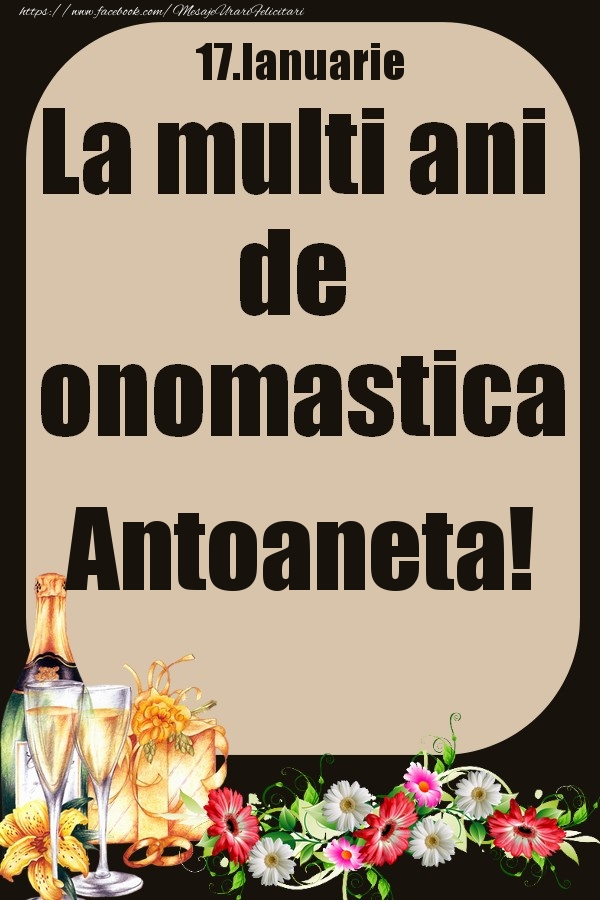 Felicitari de Ziua Numelui - 17.Ianuarie - La multi ani de onomastica Antoaneta!