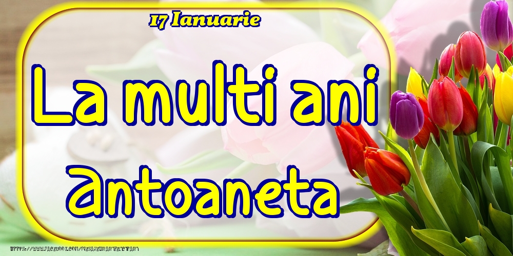 Felicitari de Ziua Numelui - Lalele | 17 Ianuarie -La  mulți ani Antoaneta!