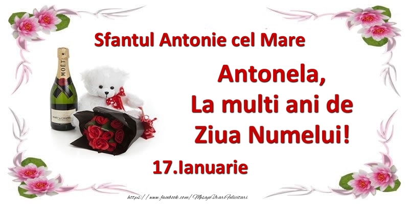 Felicitari de Ziua Numelui - Flori & Sampanie & Ursuleti | Antonela, la multi ani de ziua numelui! 17.Ianuarie Sfantul Antonie cel Mare