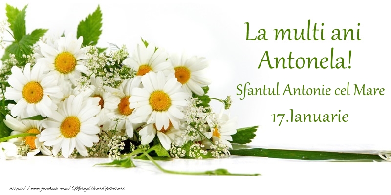 Felicitari de Ziua Numelui - Flori | La multi ani, Antonela! 17.Ianuarie - Sfantul Antonie cel Mare