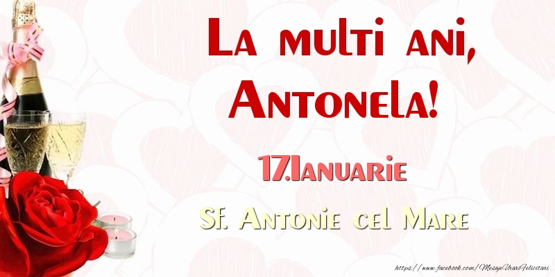 Felicitari de Ziua Numelui - Sampanie & Trandafiri | La multi ani, Antonela! 17.Ianuarie Sf. Antonie cel Mare