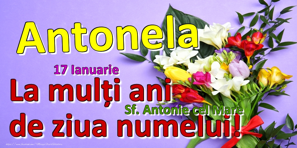 Felicitari de Ziua Numelui - Flori | 17 Ianuarie - Sf. Antonie cel Mare -  La mulți ani de ziua numelui Antonela!
