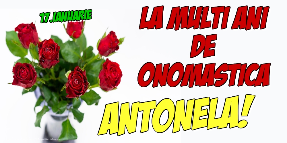 Felicitari de Ziua Numelui - Trandafiri | 17.Ianuarie - La multi ani de onomastica Antonela!