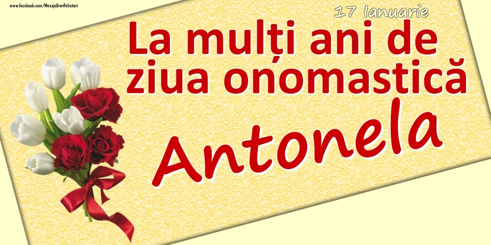 Felicitari de Ziua Numelui - 17 Ianuarie: La mulți ani de ziua onomastică Antonela