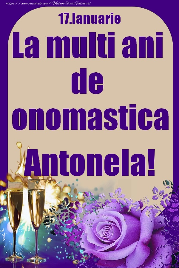 Felicitari de Ziua Numelui - 17.Ianuarie - La multi ani de onomastica Antonela!