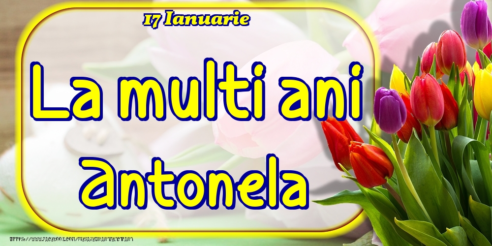 Felicitari de Ziua Numelui - 17 Ianuarie -La  mulți ani Antonela!