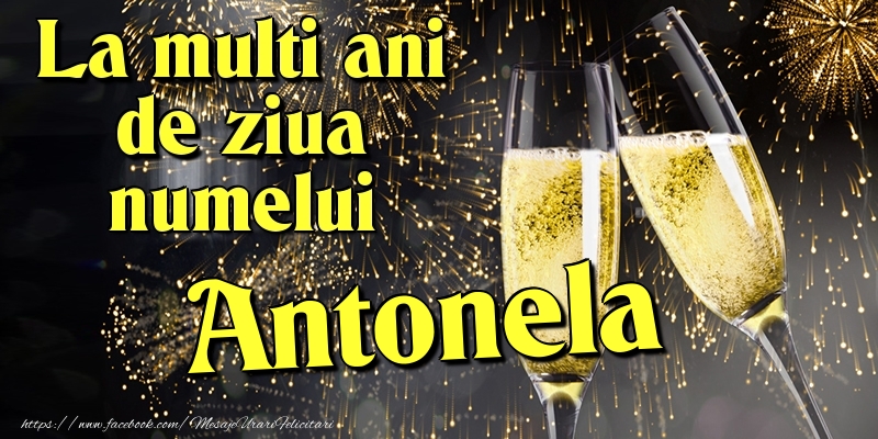 Felicitari de Ziua Numelui - Artificii & Sampanie | La multi ani de ziua numelui Antonela